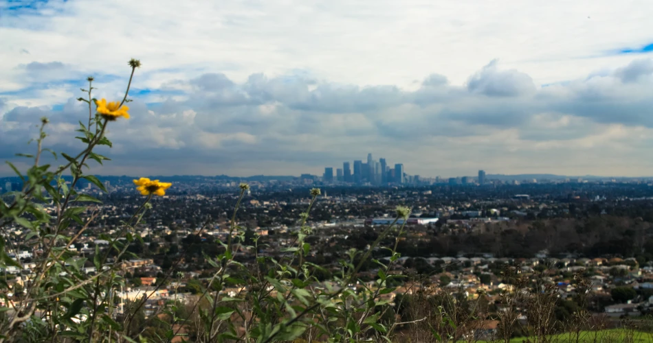Where to Find the Best Views of the LA Skyline