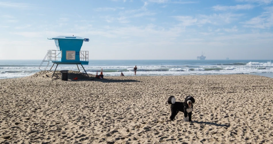 Best 10 Beaches in Los Angeles